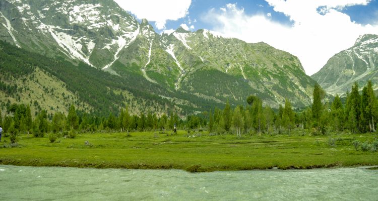 Sultanabad Meadows - Basho Valley