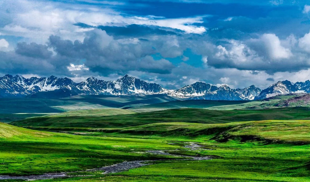 Deosai Plains