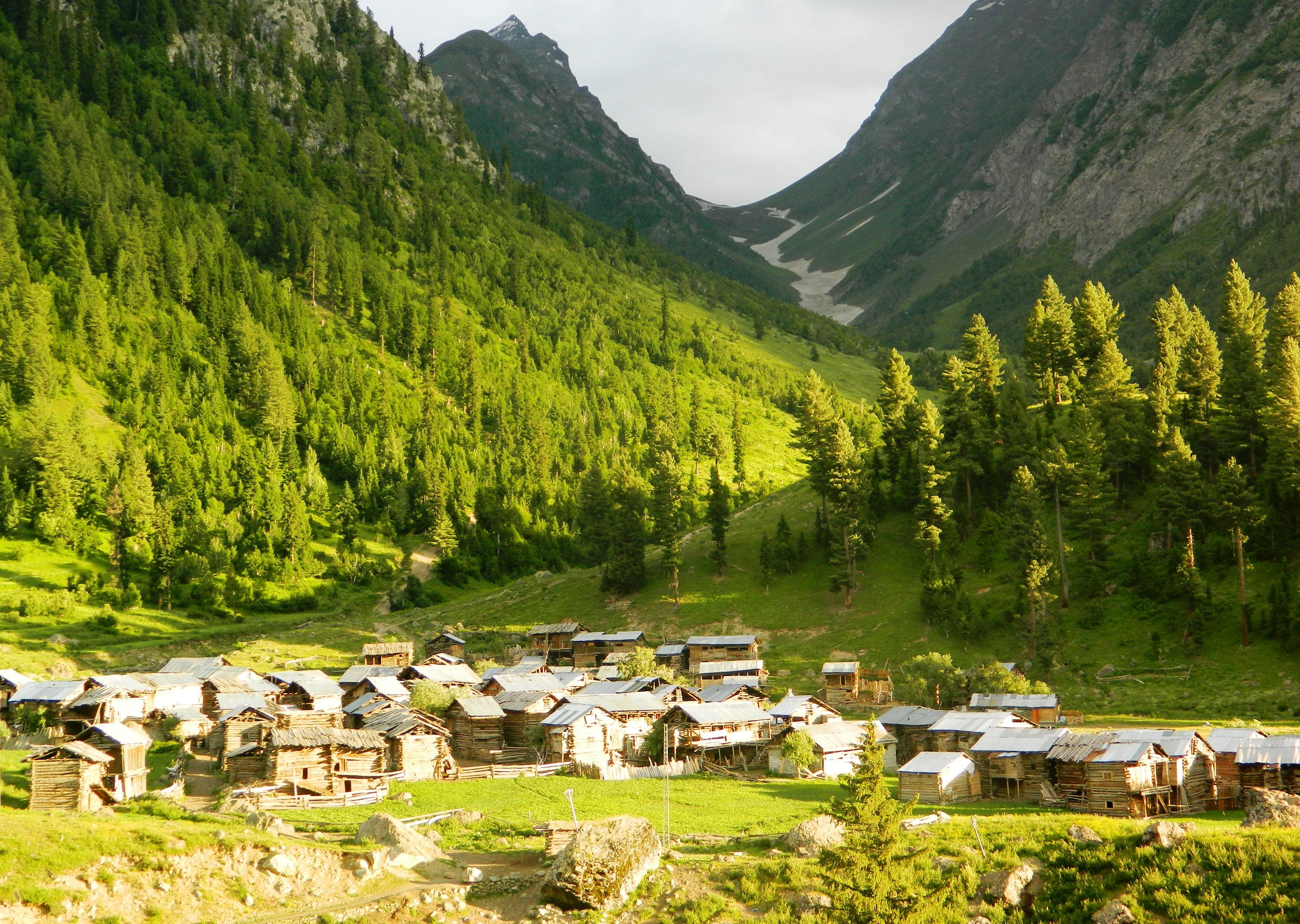 Minimarg