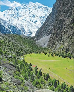 Pissan Cricket Stadium, Nagar